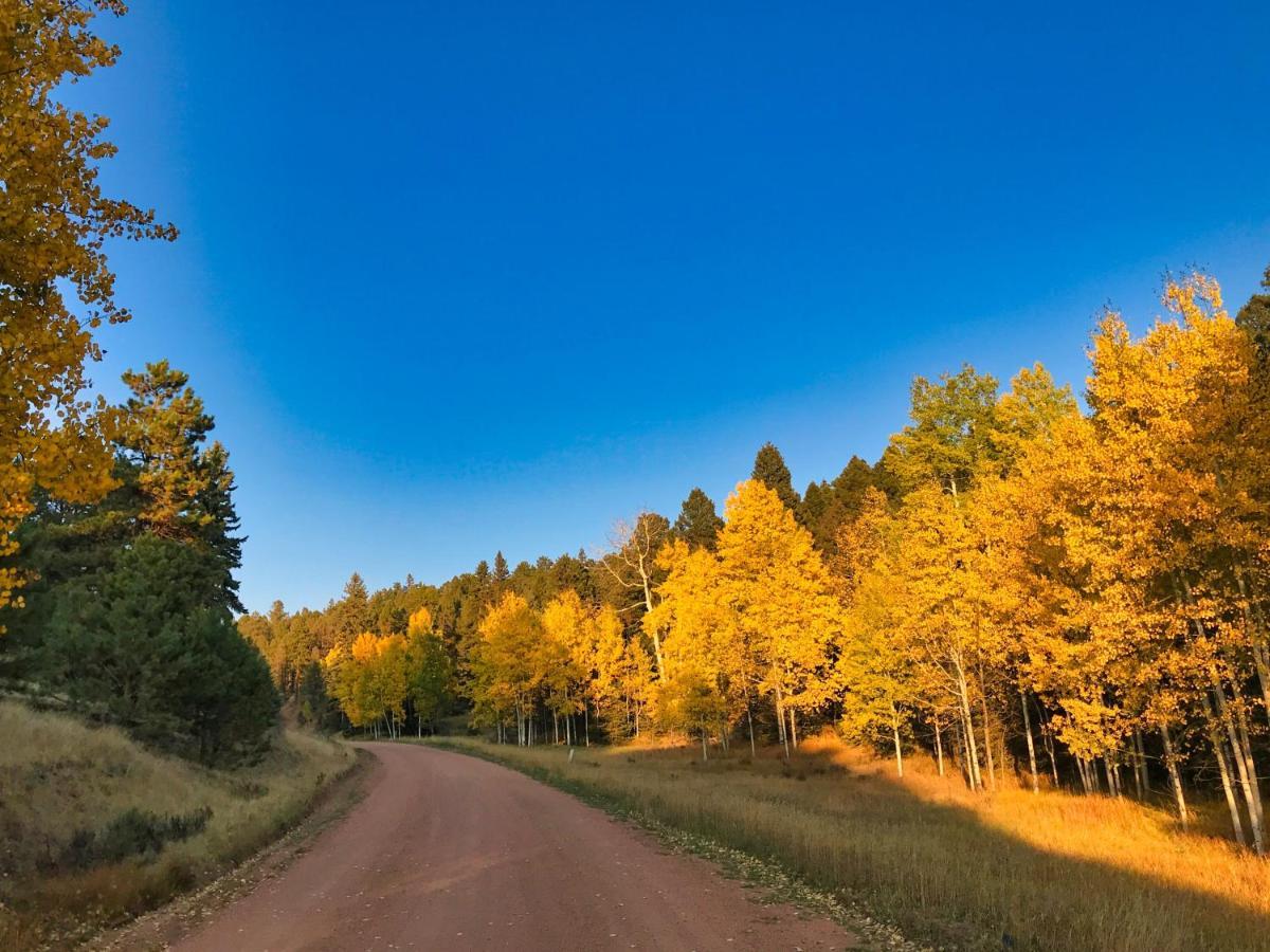 Pine Ridge - Memories Are Made Here! Florissant Luaran gambar